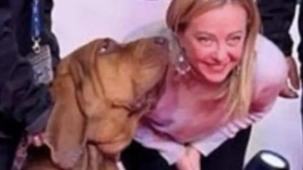 Bruno, il cane eroe ucciso da bocconcini con chiodi. Era stato premiato da Giorgia Meloni