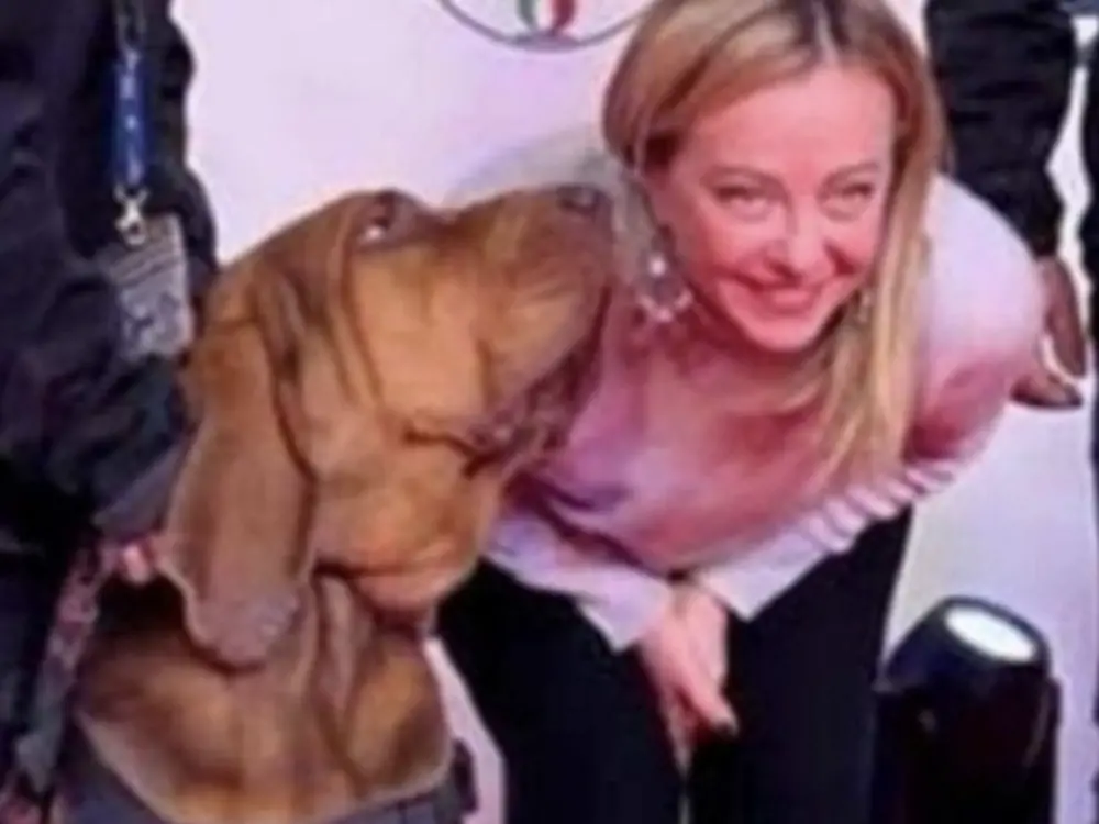 Bruno, il cane eroe ucciso da bocconcini con chiodi. Era stato premiato da Giorgia Meloni