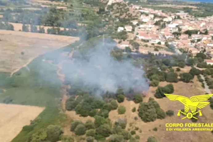 Sedici incendi oggi in Sardegna, cinque richiedono l’intervento dei mezzi aerei