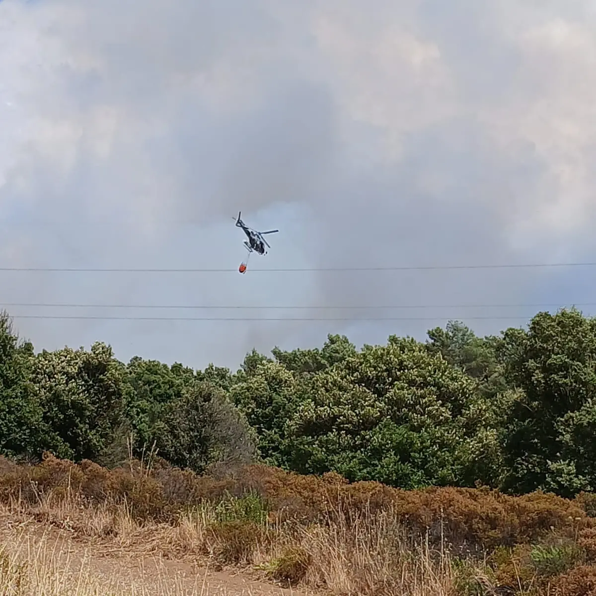 Paura a Mandas: le fiamme minacciano un'area di rimboschimento