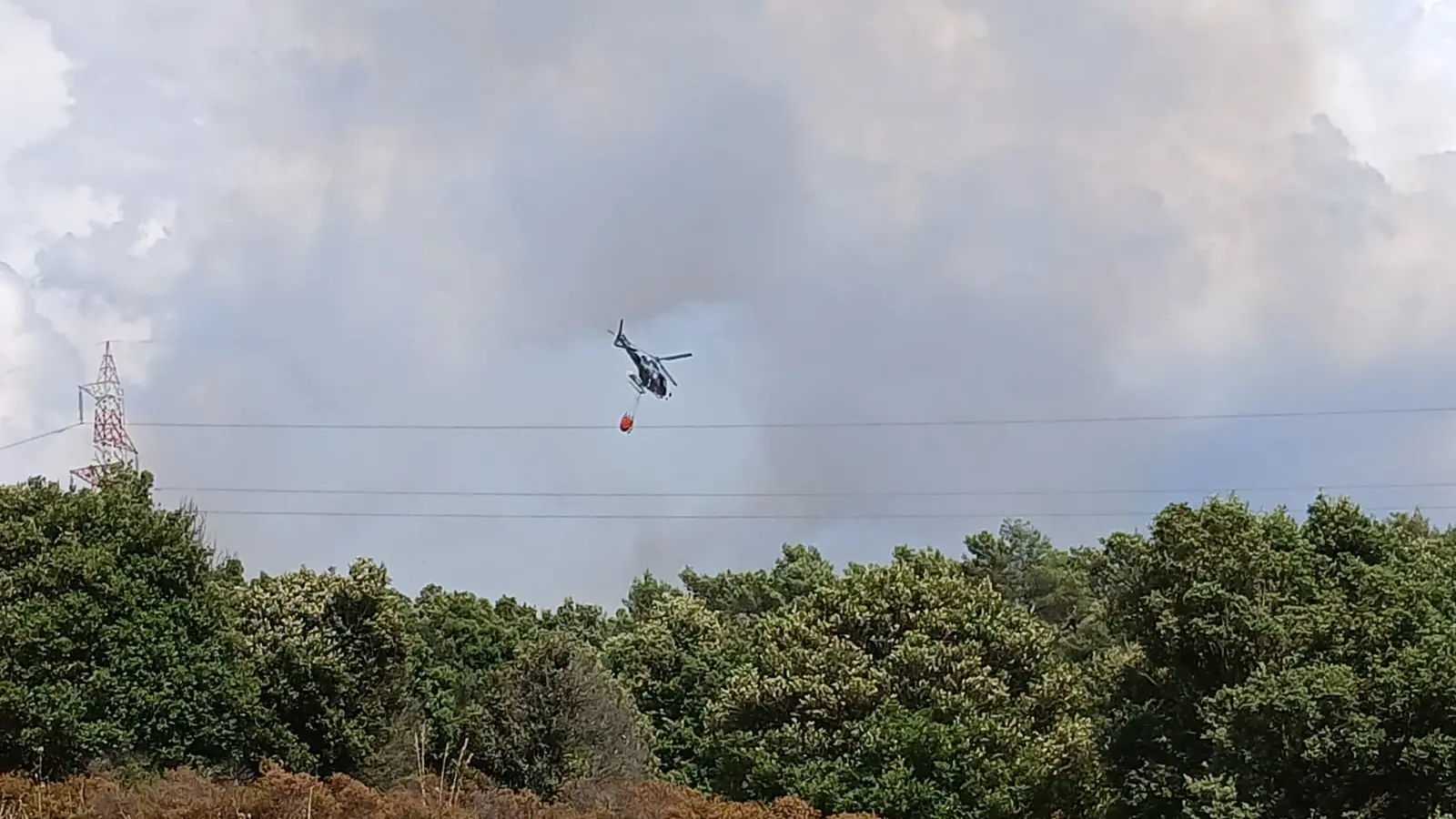 Paura a Mandas: le fiamme minacciano un'area di rimboschimento