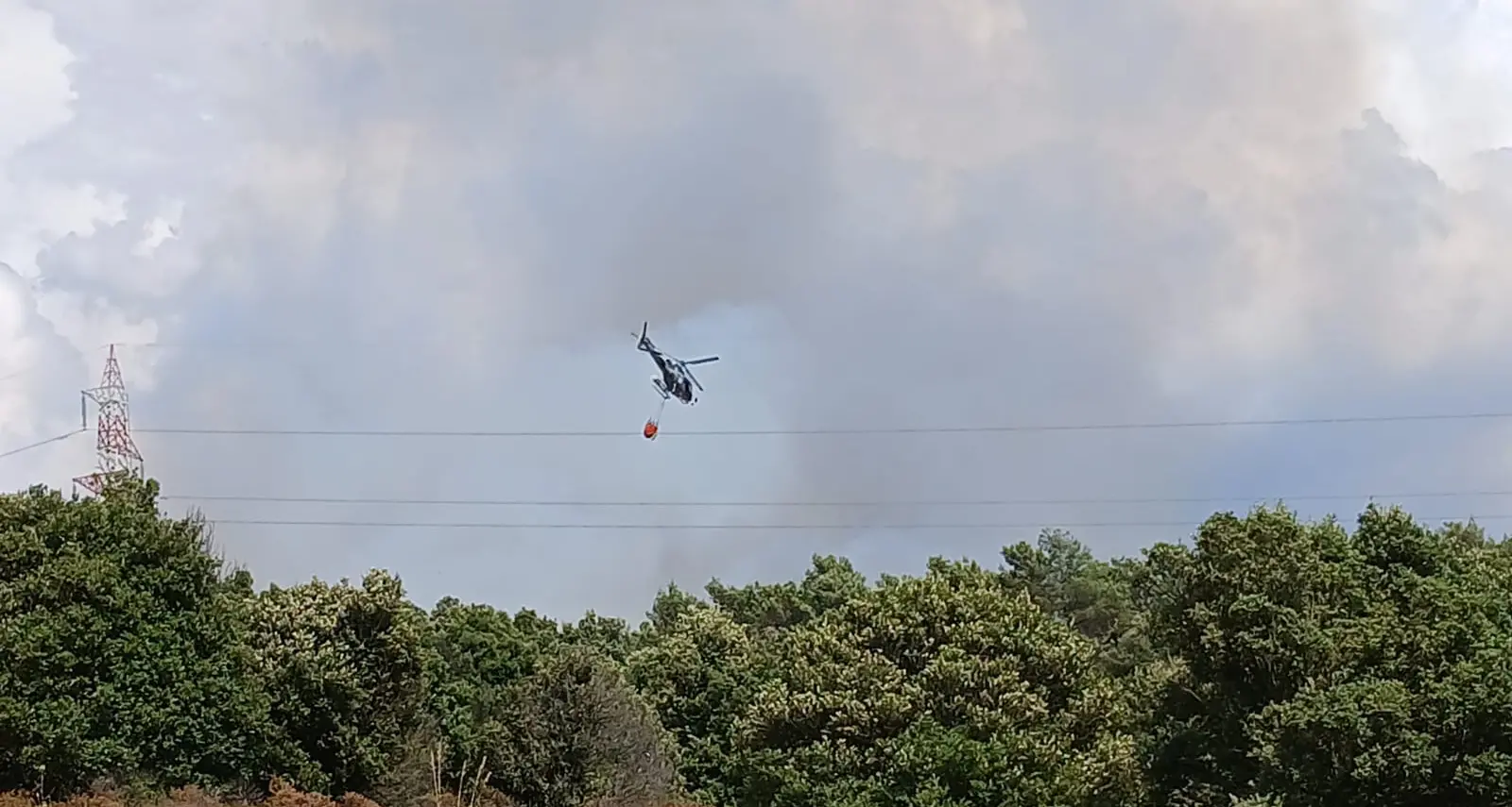 Paura a Mandas: le fiamme minacciano un'area di rimboschimento