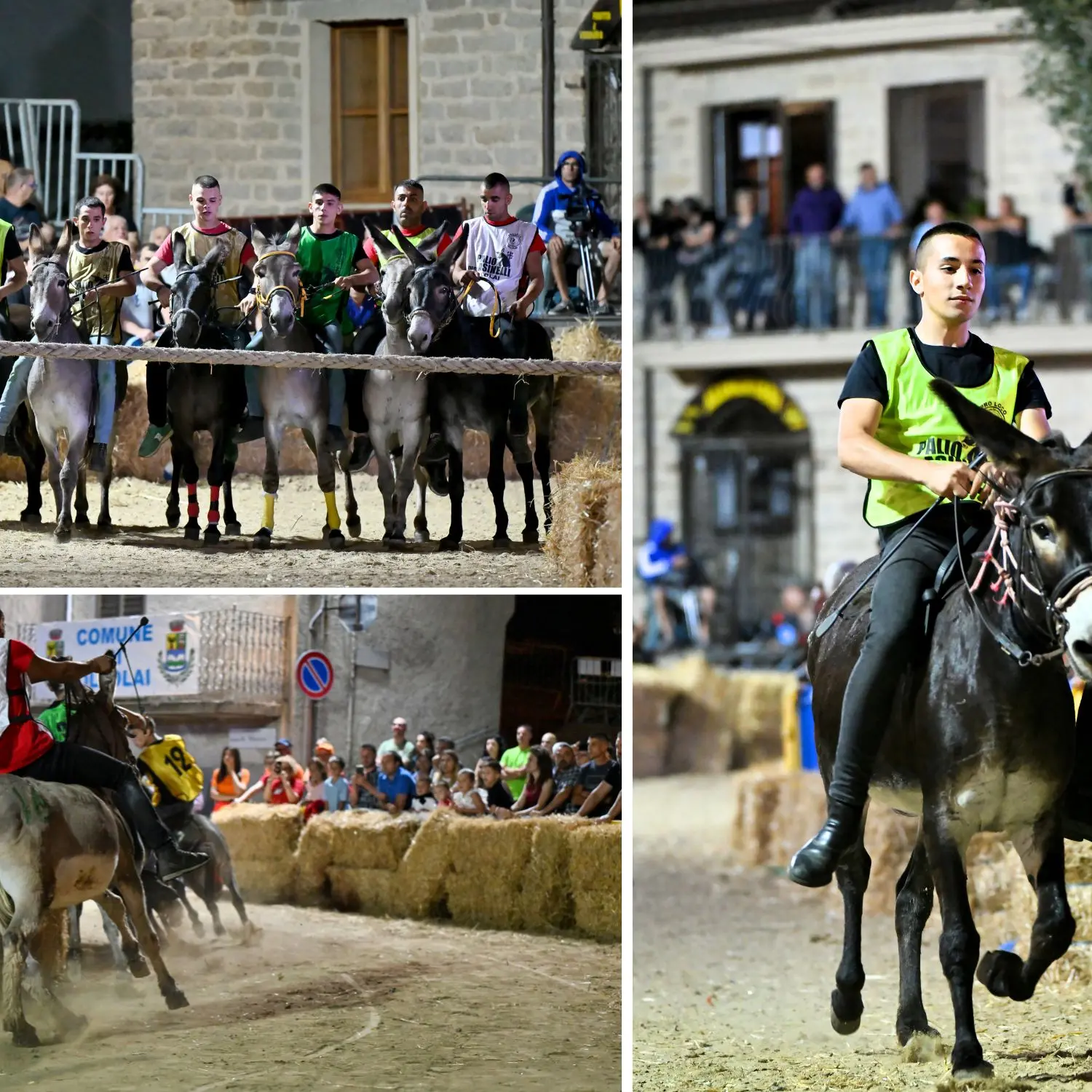 Il Palio degli asinelli di Ollolai: un evento che unisce tradizione e comunità: sabato 12 luglio