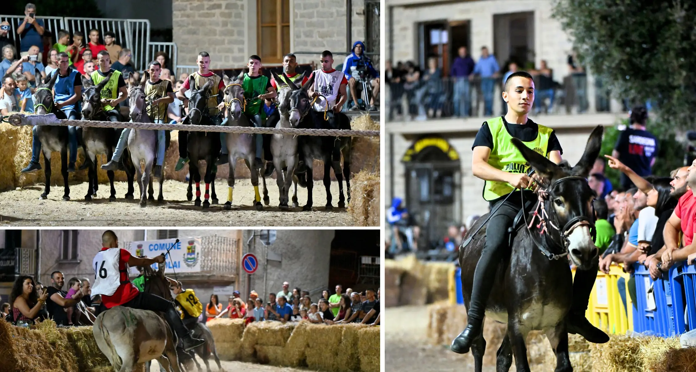 Il Palio degli asinelli di Ollolai: un evento che unisce tradizione e comunità: sabato 12 luglio