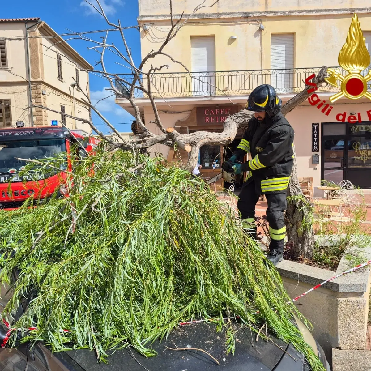 Emergenza maestrale: incendi e alberi sradicati a La Maddalena
