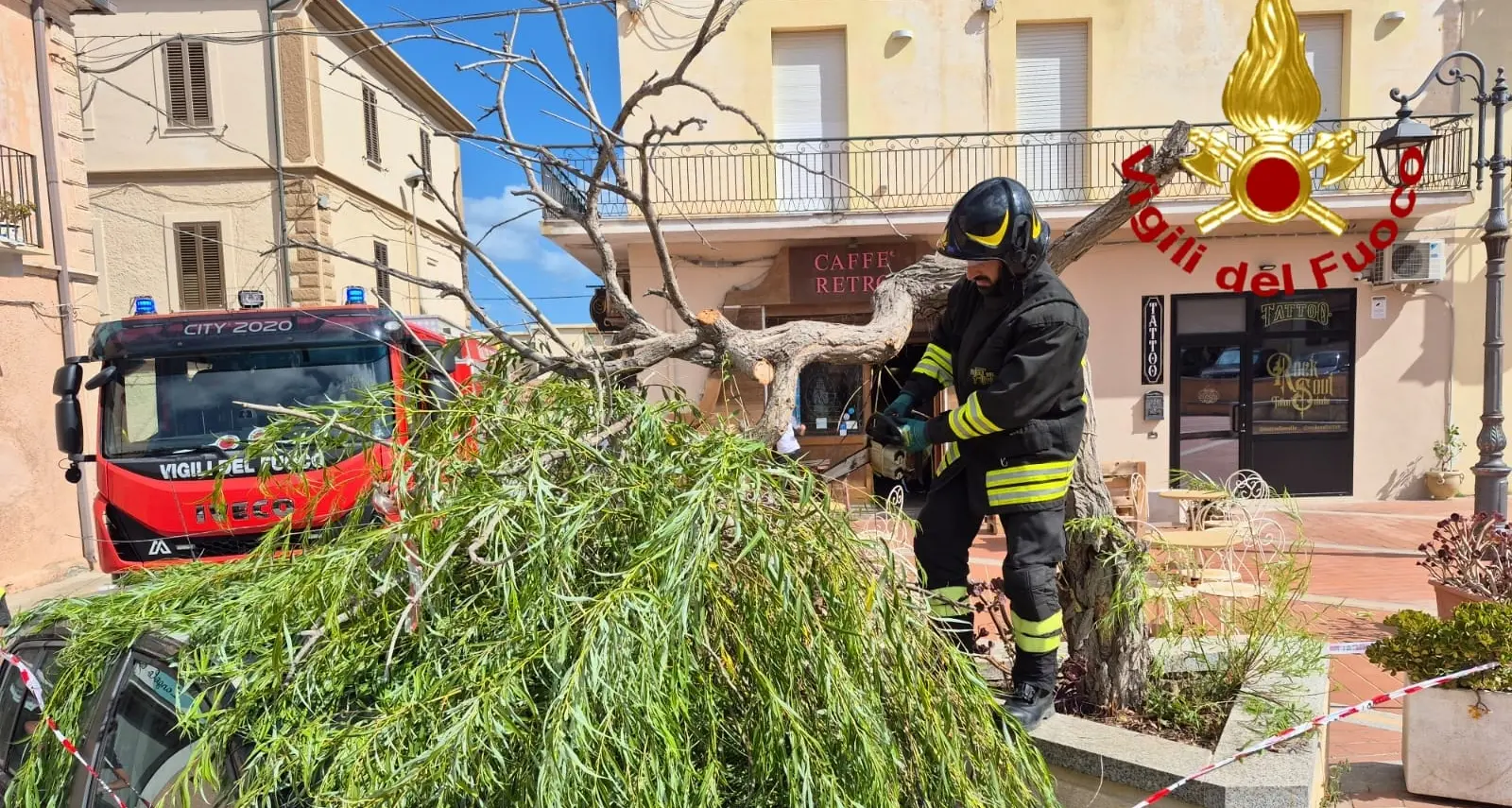 Emergenza maestrale: incendi e alberi sradicati a La Maddalena