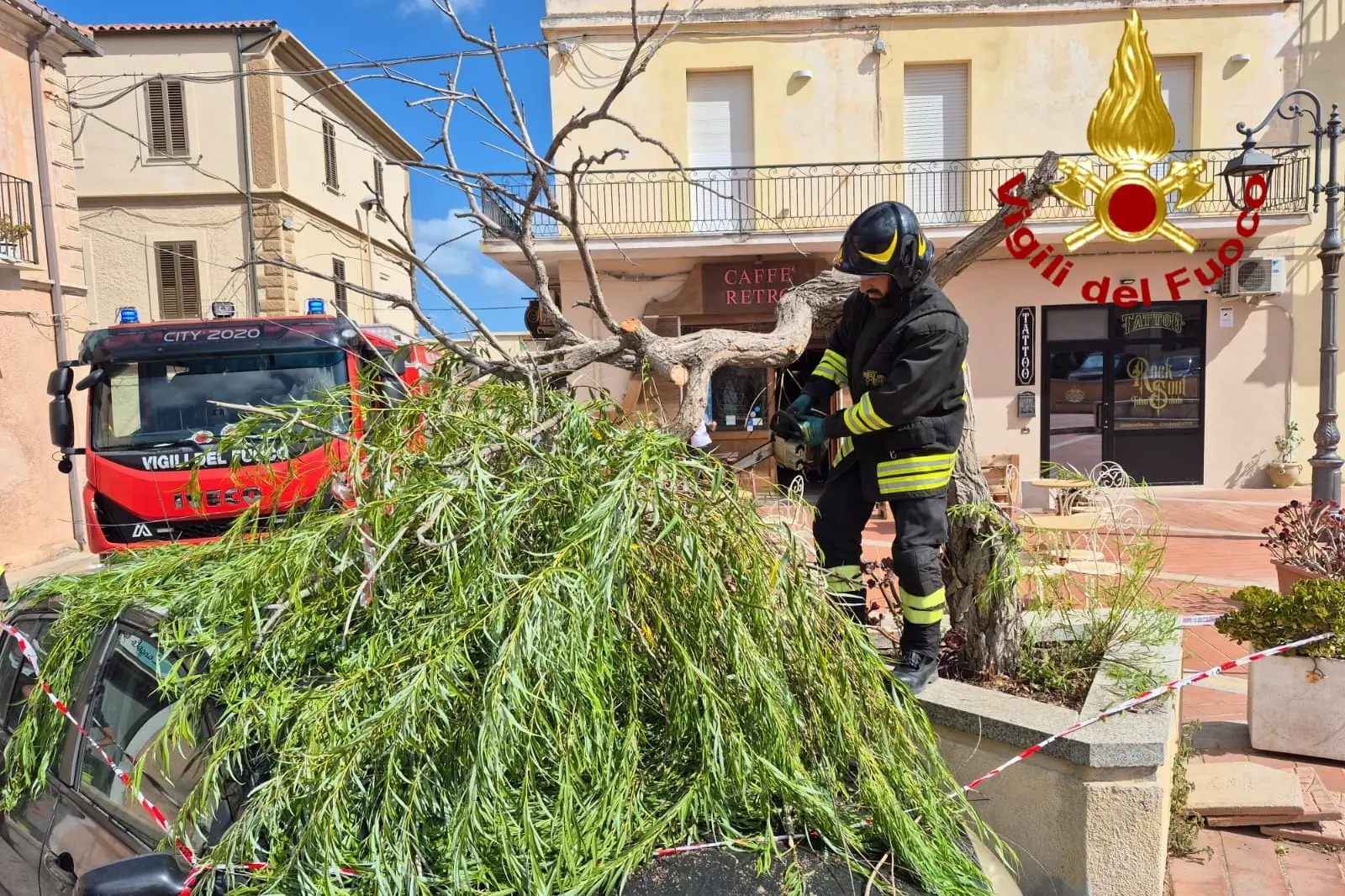 Emergenza maestrale: incendi e alberi sradicati a La Maddalena