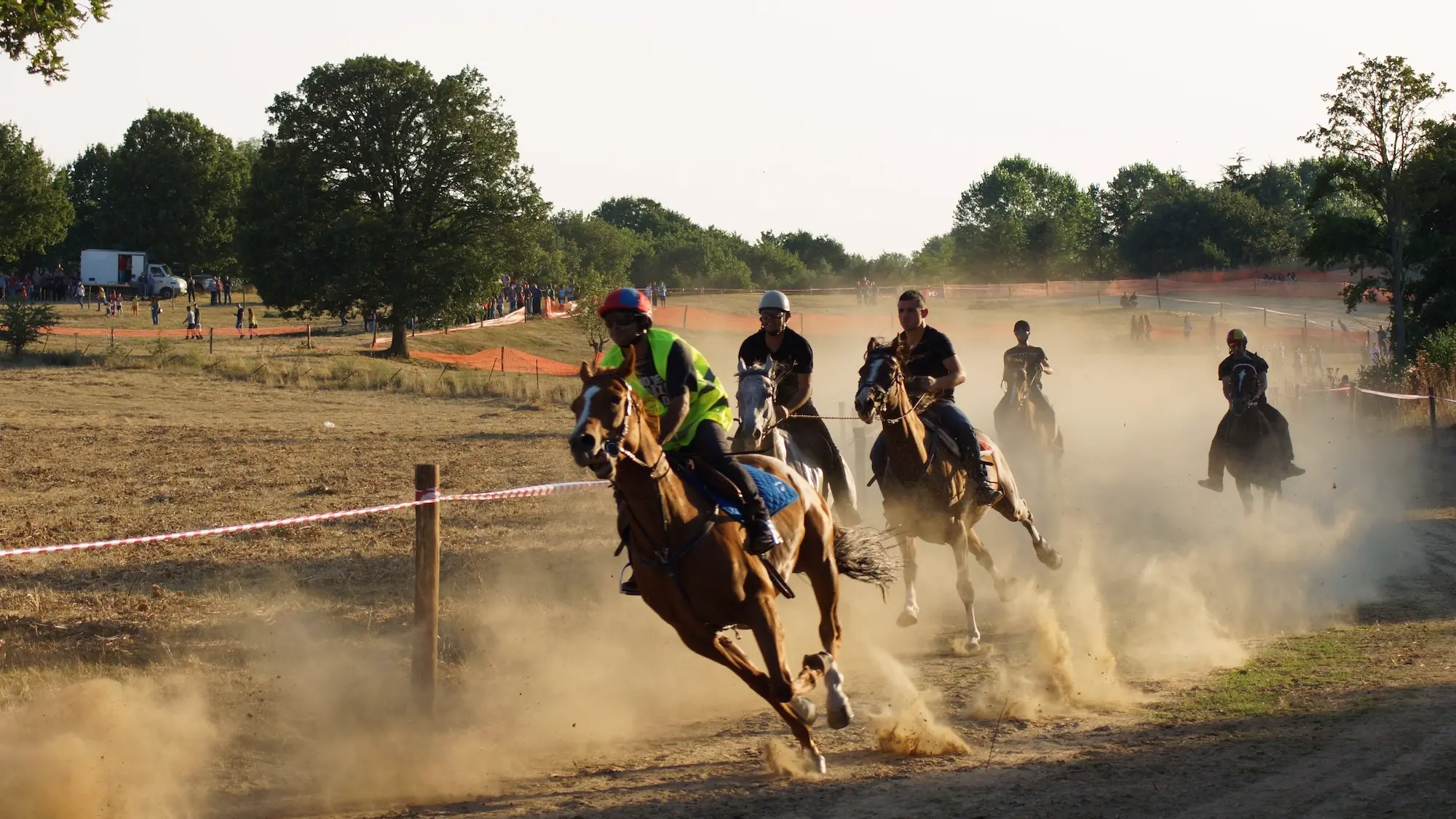 Nasce l'ASD Gavoi Ippica: una nuova realtà per gli appassionati del mondo equestre