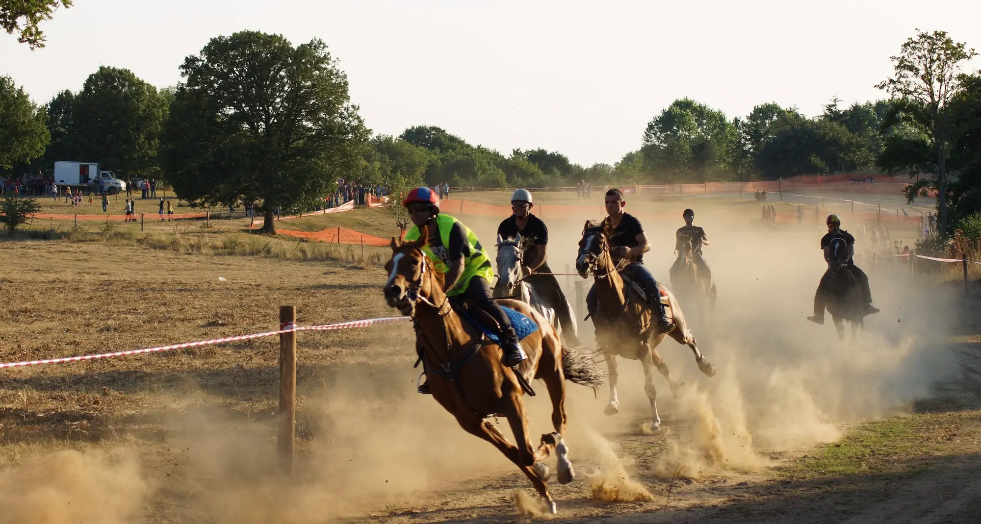 Nasce l'ASD Gavoi Ippica: una nuova realtà per gli appassionati del mondo equestre