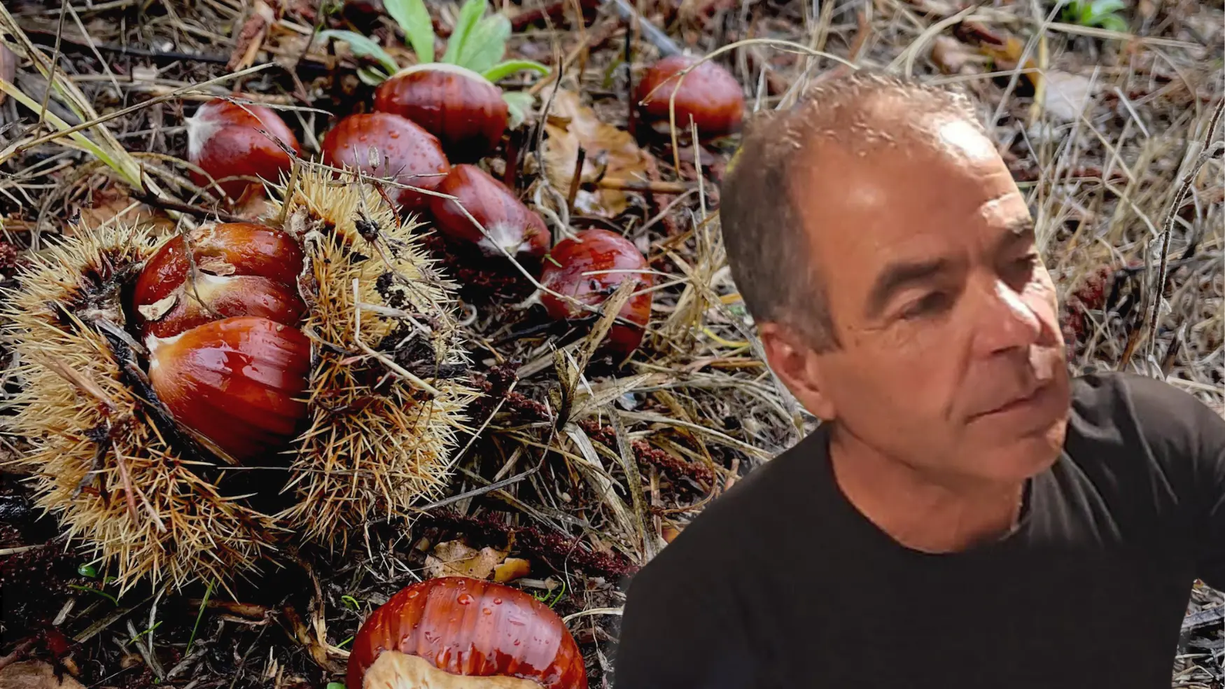 Castagne, nocciole e noci: Aritzo guarda al futuro con una nuova associazione