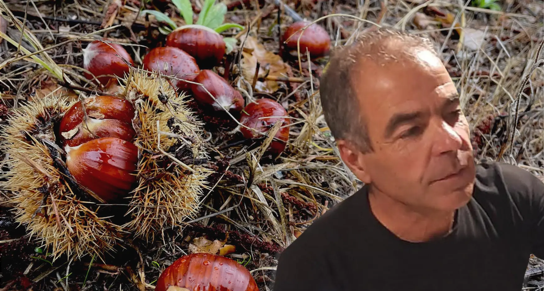 Castagne, nocciole e noci: Aritzo guarda al futuro con una nuova associazione