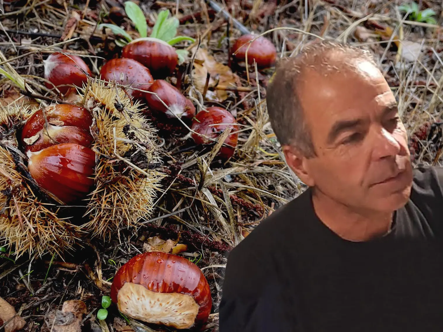 Castagne, nocciole e noci: Aritzo guarda al futuro con una nuova associazione