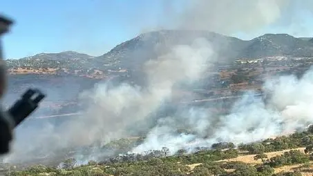 Undici incendi in Sardegna: elicotteri e canadair in azione a Nurri, Olbia e Osini