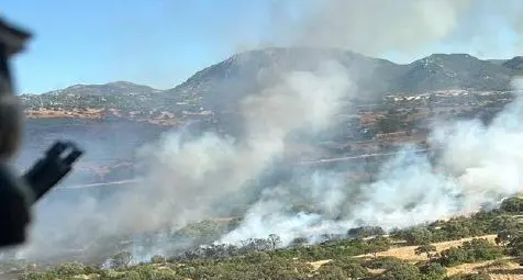 Undici incendi in Sardegna: elicotteri e canadair in azione a Nurri, Olbia e Osini