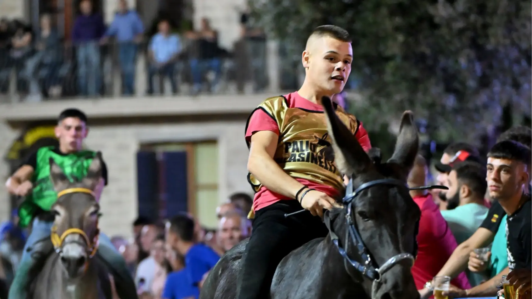 Palio di Ollolai, estratte le batterie: ecco la composizione, i fantini e gli asinelli in gara