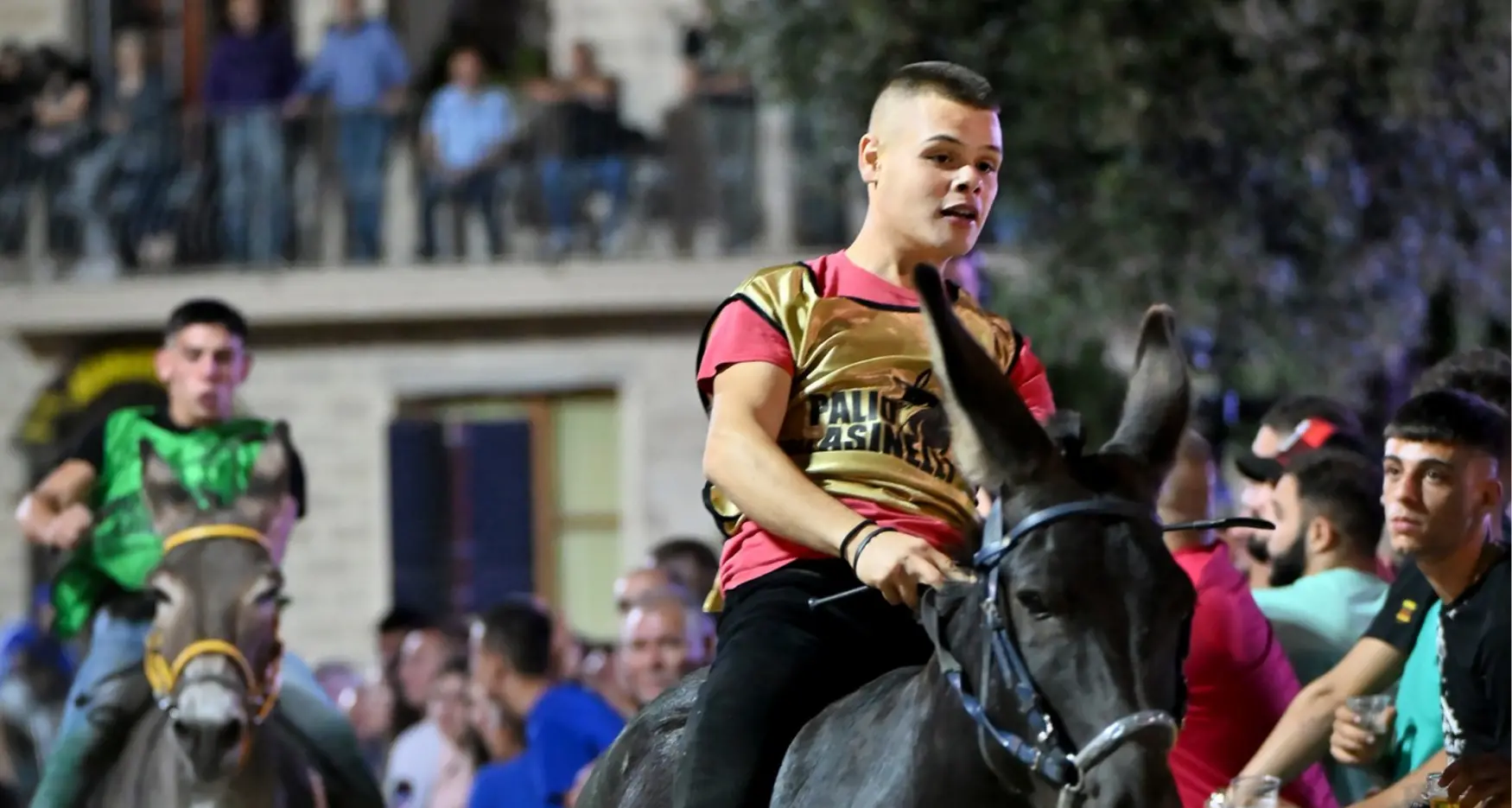 Palio di Ollolai, estratte le batterie: ecco la composizione, i fantini e gli asinelli in gara