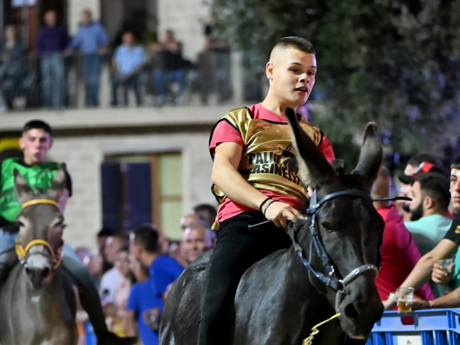 Palio di Ollolai, estratte le batterie: ecco la composizione, i fantini e gli asinelli in gara