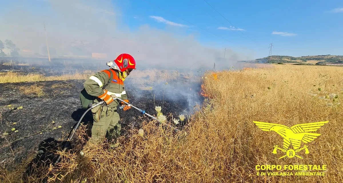 Incendi in Sardegna: due fronti attivi a Nulvi e Loculi, interviene la flotta aerea