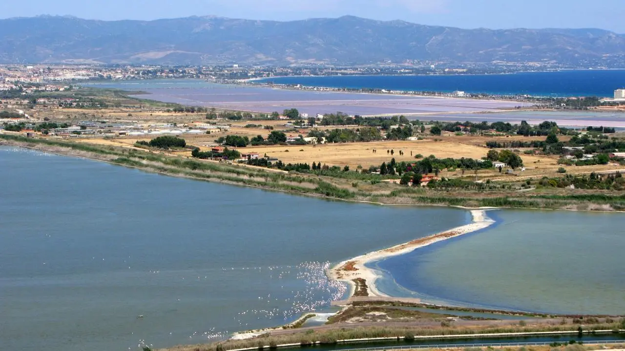 Parco di Molentargius dalle saline a parco naturale