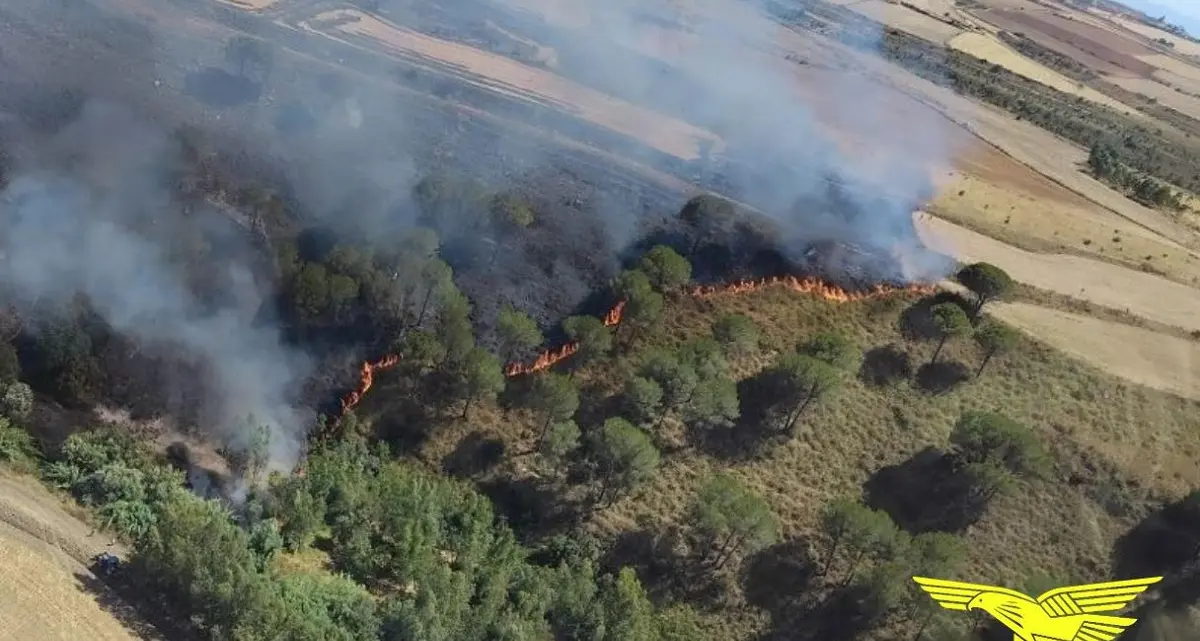 Venti incendi in Sardegna: elicotteri e Canadair in azione su tre fronti