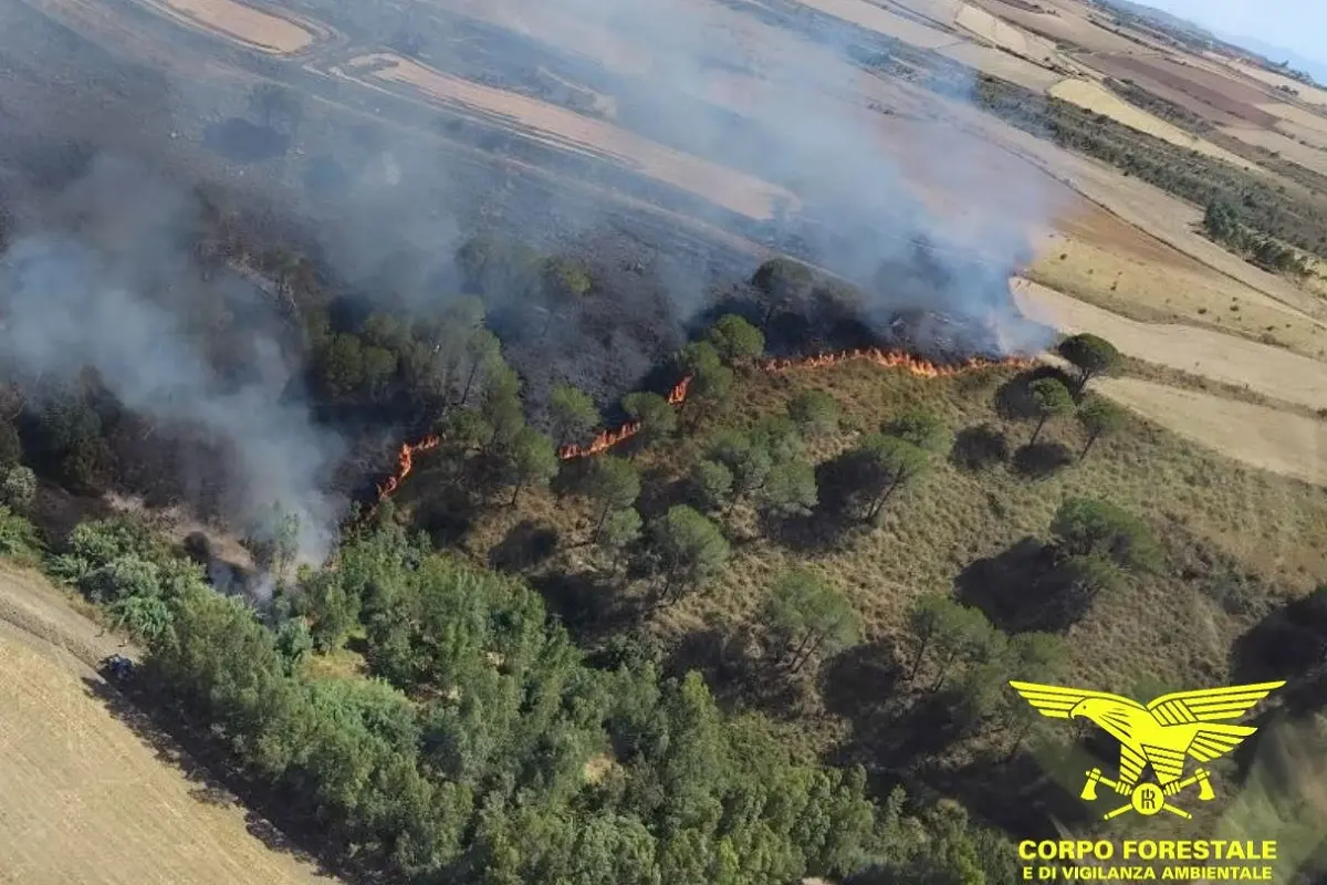 Venti incendi in Sardegna: elicotteri e Canadair in azione su tre fronti