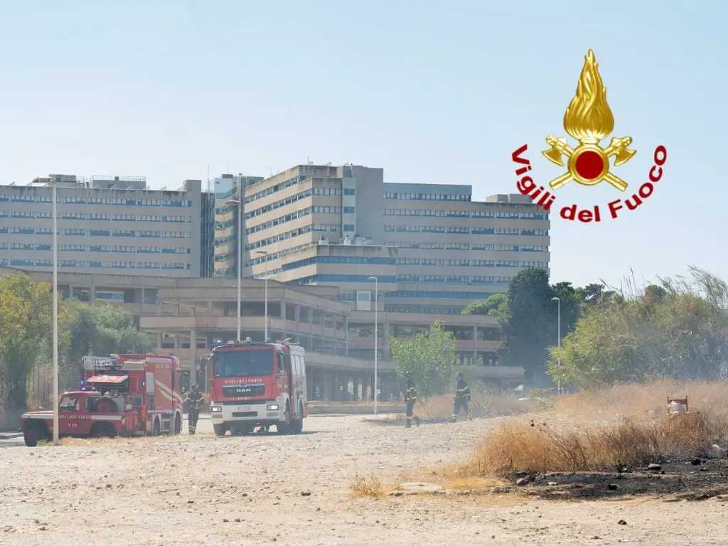 Mark Hayes joins Pennbridge Lodging as the General Manager of the Element  Scottsdale at Skysong – Pennbridge Hospitality, image size:1024x768