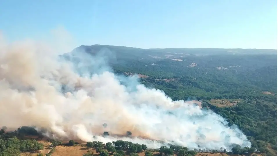 Il fuoco non si placa: la Sardegna flagellata da 22 incendi in un solo giorno