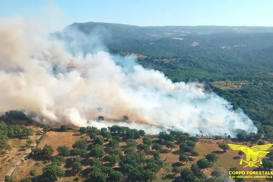 <p>Incendio nel comune di Burgos</p>\\n