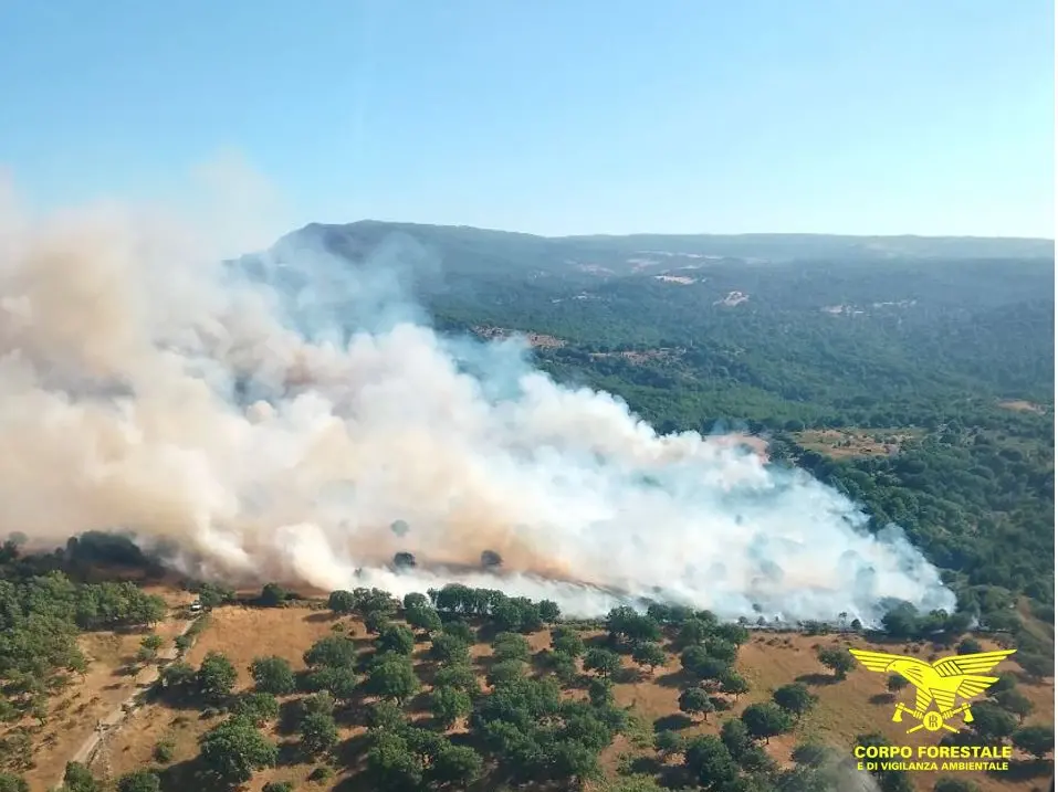 Il fuoco non si placa: la Sardegna flagellata da 22 incendi in un solo giorno