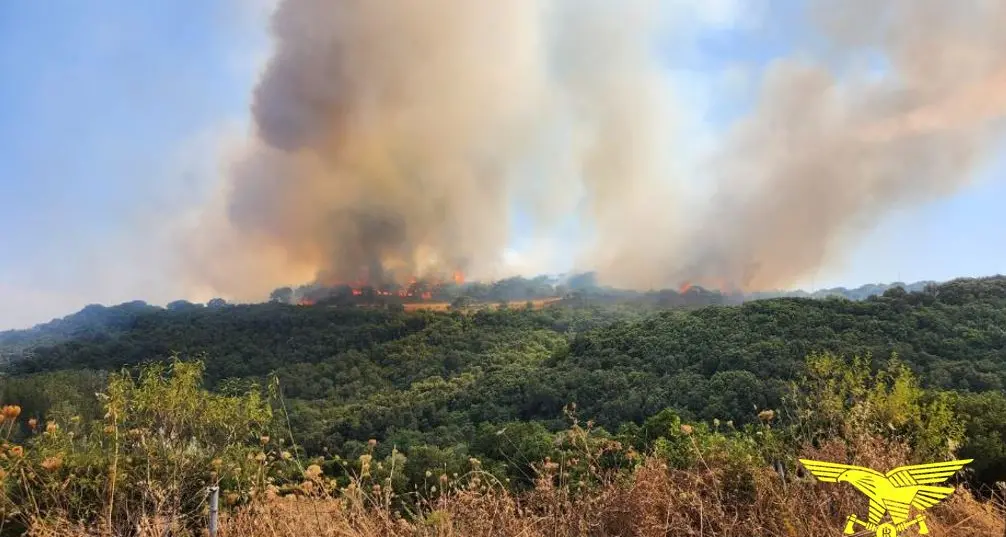 Incendi in Sardegna, 25 roghi in un giorno: nove con mezzi aerei