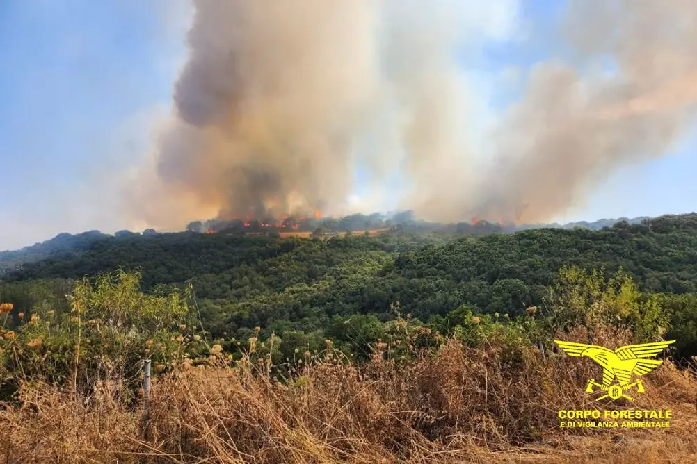 <p>Incendio ad Ales</p>\\n