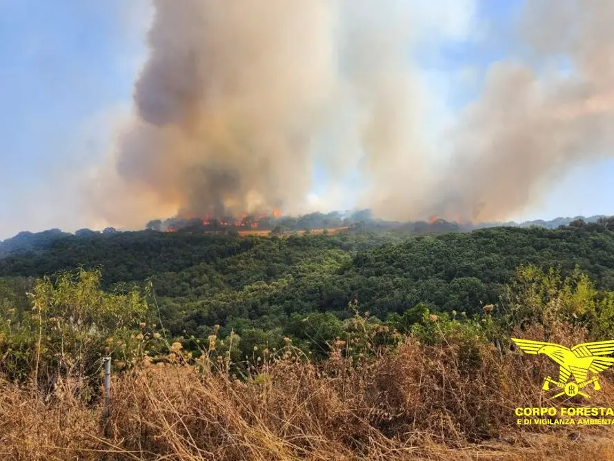Incendi in Sardegna, 25 roghi in un giorno: nove con mezzi aerei