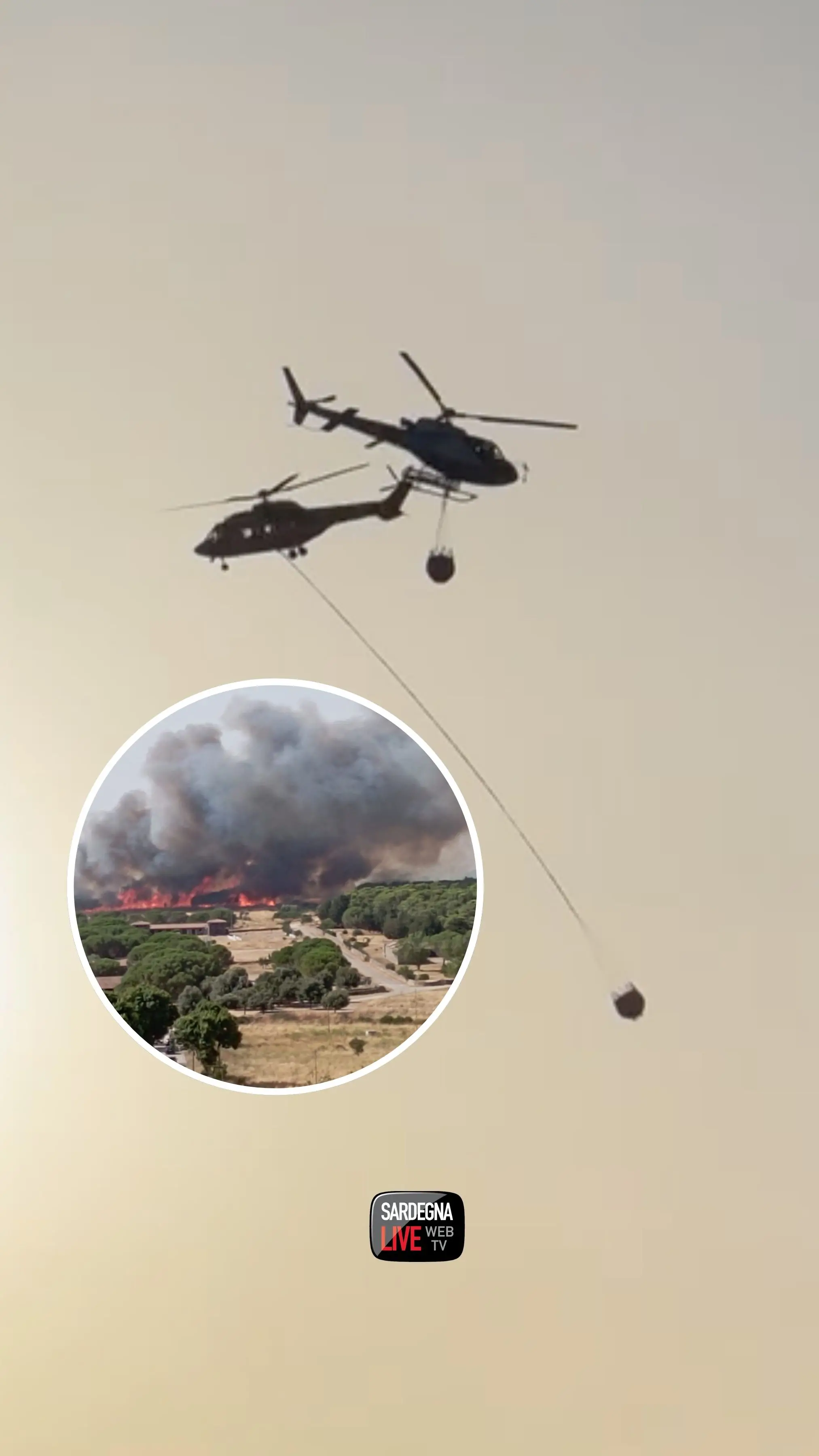Incendio boschivo a Nurri, località Ex Galoppatoio