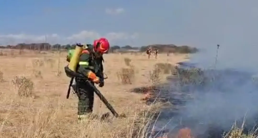 Incendio a Nurri: il Corpo forestale in azione per spegnere le fiamme