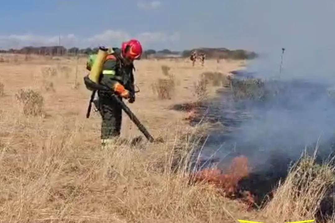 Incendio a Nurri: il Corpo forestale in azione per spegnere le fiamme