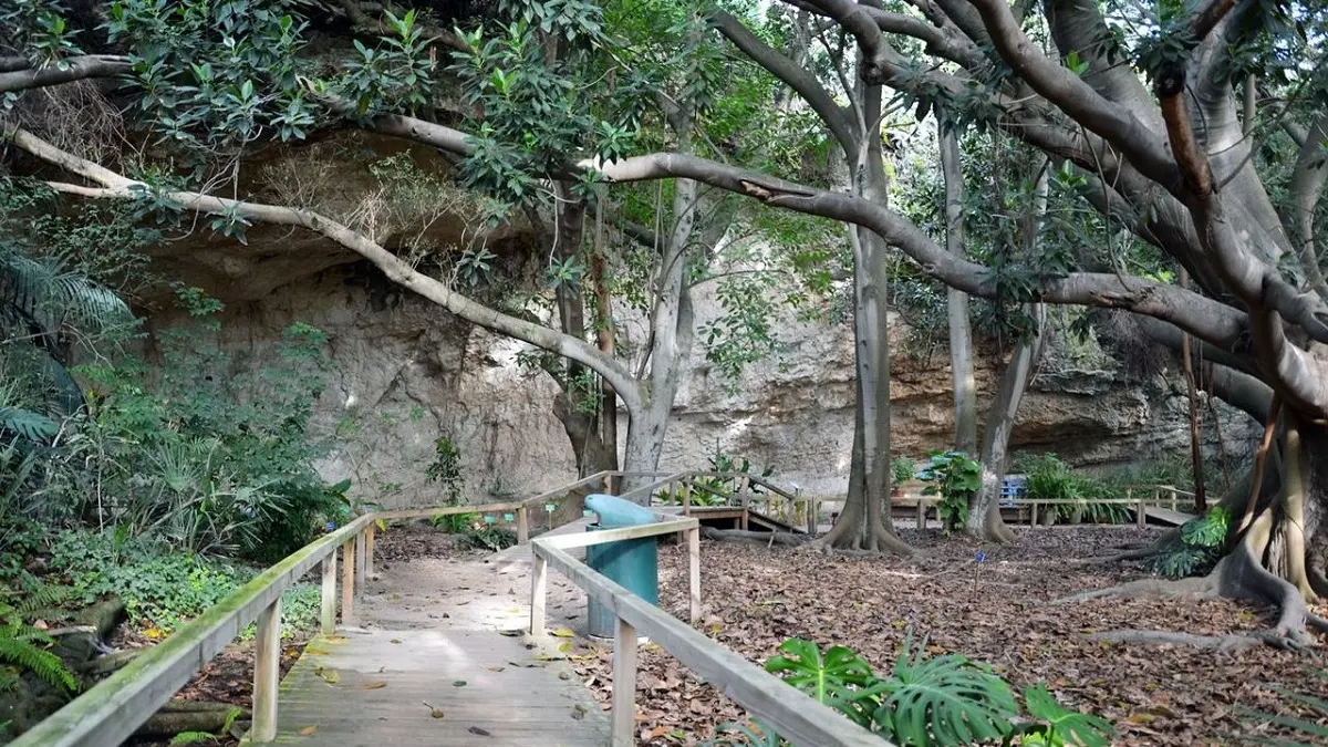 Università Svelate, l’Ateneo di Cagliari apre alla città