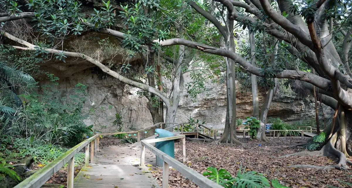 L'Orto Botanico di Cagliari: un'oasi verde tra storia e scienza