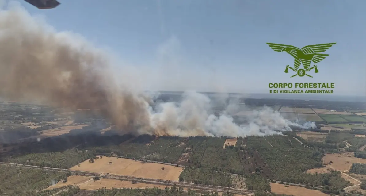 Incendi in Sardegna, 35 roghi in un giorno: 12 richiedono mezzi aerei