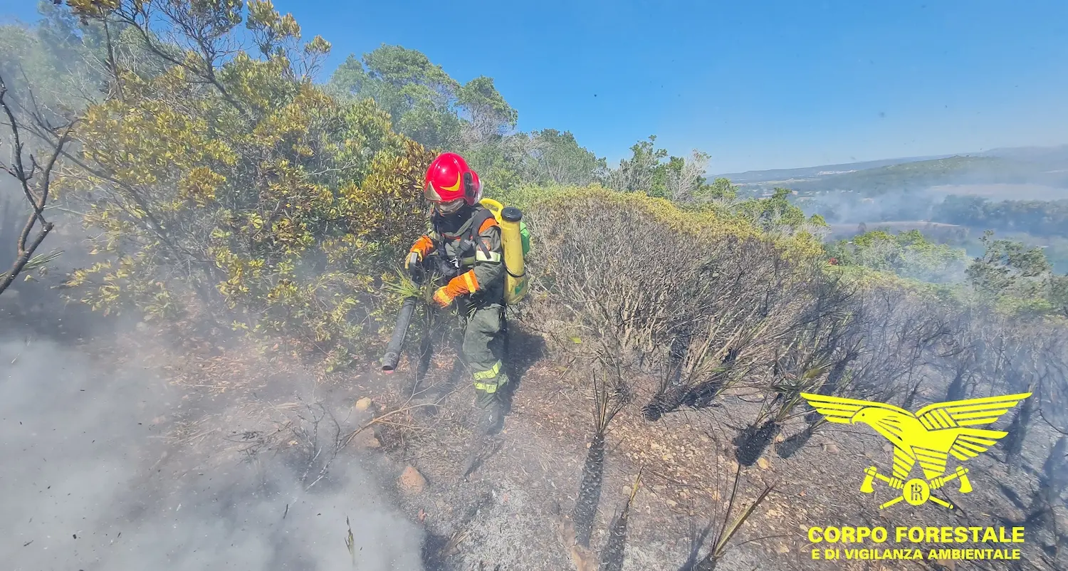 A Nurri in fumo 200 ettari, incendio domato dopo tre giorni