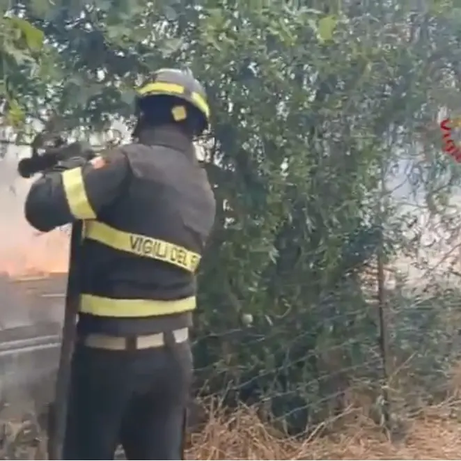 Incendi nel Cagliaritano: Vigili del fuoco evitano che deposito di bombole finisca tra le fiamme | IL VIDEO