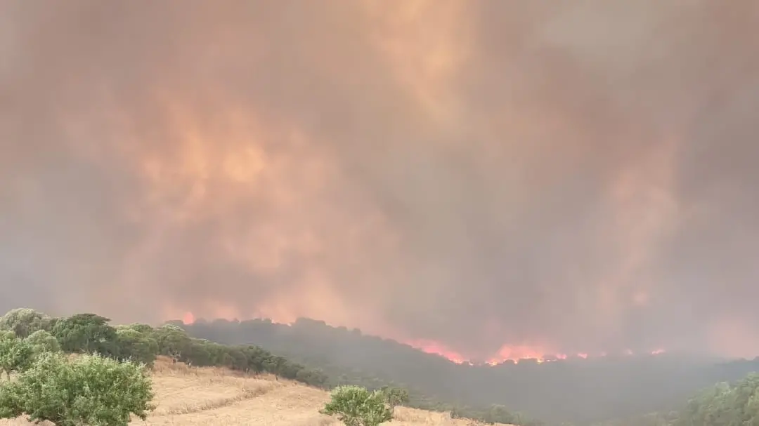 Sardegna in fiamme: 29 incendi in un solo giorno, situazione critica a Villacidro