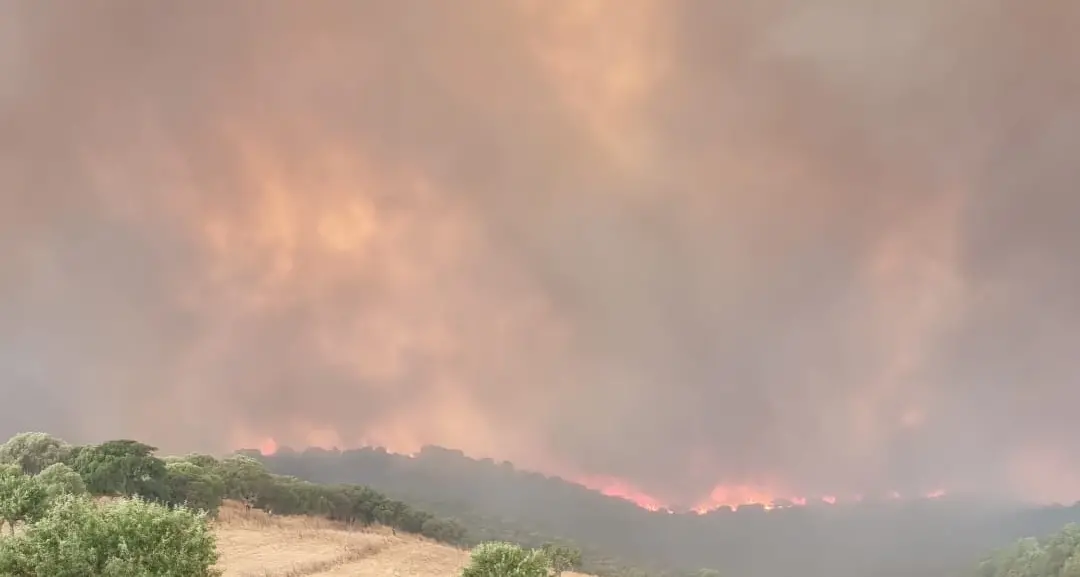 Sardegna in fiamme: 29 incendi in un solo giorno, situazione critica a Villacidro