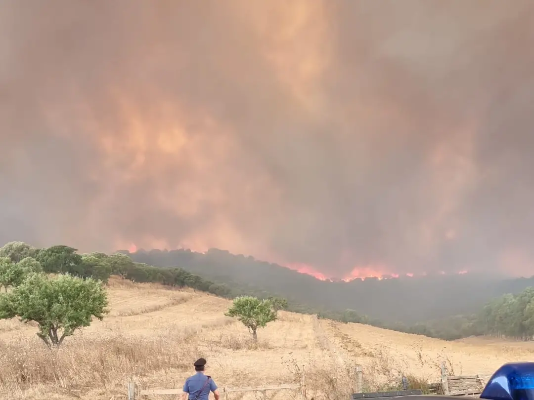 Sardegna in fiamme: 29 incendi in un solo giorno, situazione critica a Villacidro