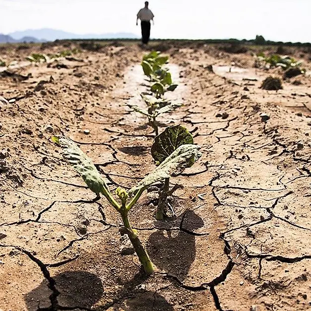 Emergenza acqua in Sardegna, \"sprechi record e imprese in allarme\"
