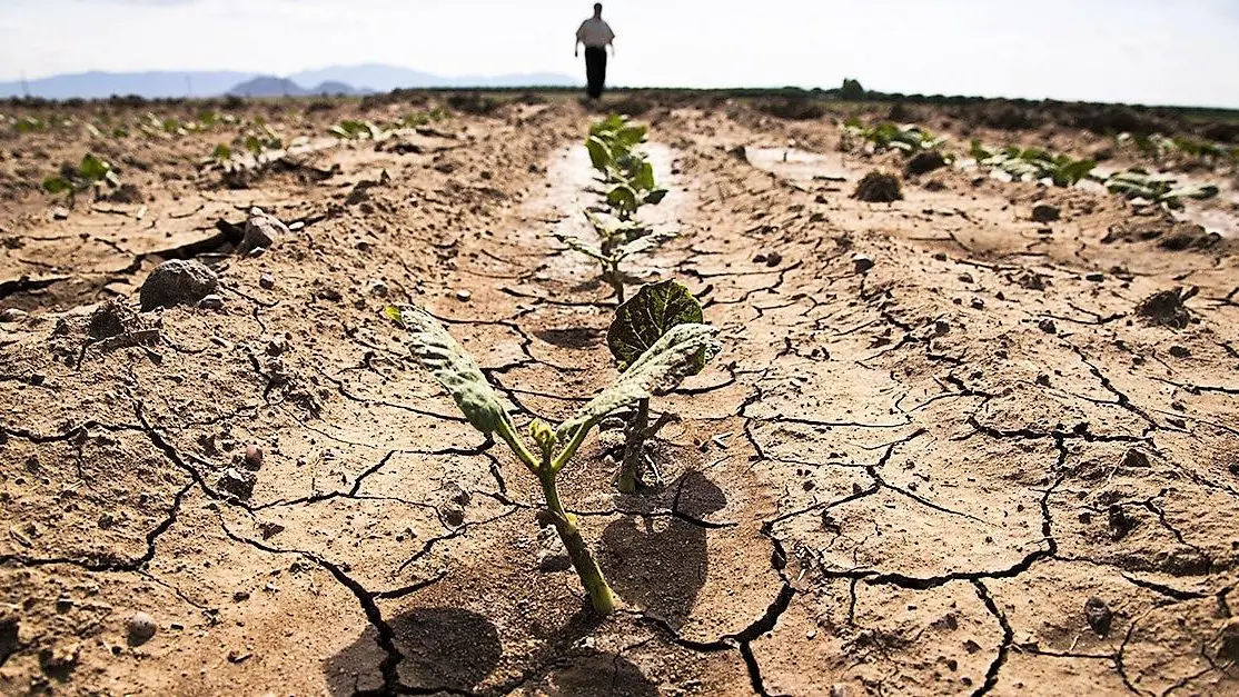 Pioggia e neve portano sollievo, ma la Sardegna non esce dall'emergenza siccità