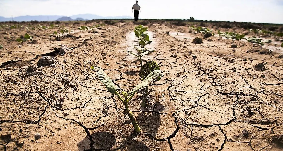 Emergenza siccità: agricoltura al collasso e riserve idriche al limite