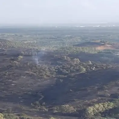 Incendi a Villacidro e Bolotana: elicotteri in azione