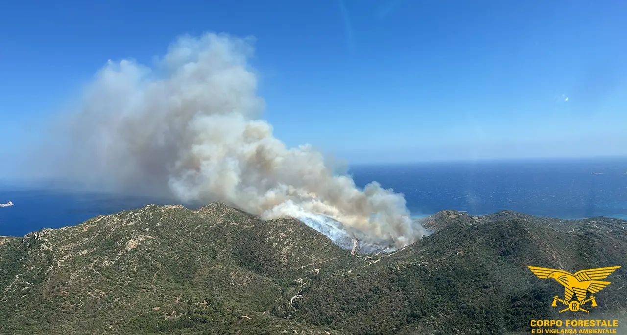 Sardegna in fiamme, la proposta della rete “Basta incendi”: rimboschimenti e più prevenzione