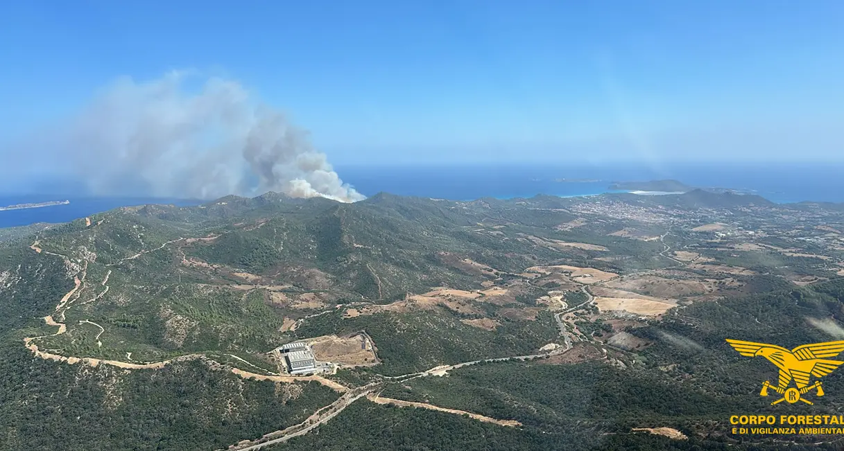Incendio Villasimius: cento ettari di bosco in fumo e decine di auto distrutte a Punta Molentis
