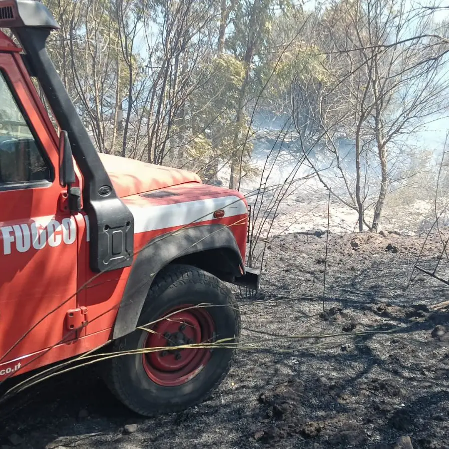 Incendio Sos Alinos, il video del disastro. Comune di Orosei: \"Pronti bus per evacuazione\"